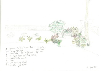 treehouse-patio-sketch
